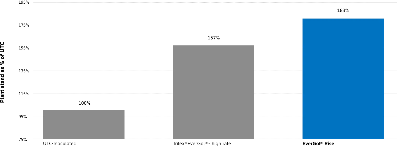 Bar chart comparing plant populations (plants per square meter) across three treatments. The UTC‑Inoculated treatment shows approximately 28 plants/m². The Trilex® EverGol® – high rate treatment shows about 42 plants/m². The EverGol® Rise treatment shows the highest value at approximately 50 plants/m².