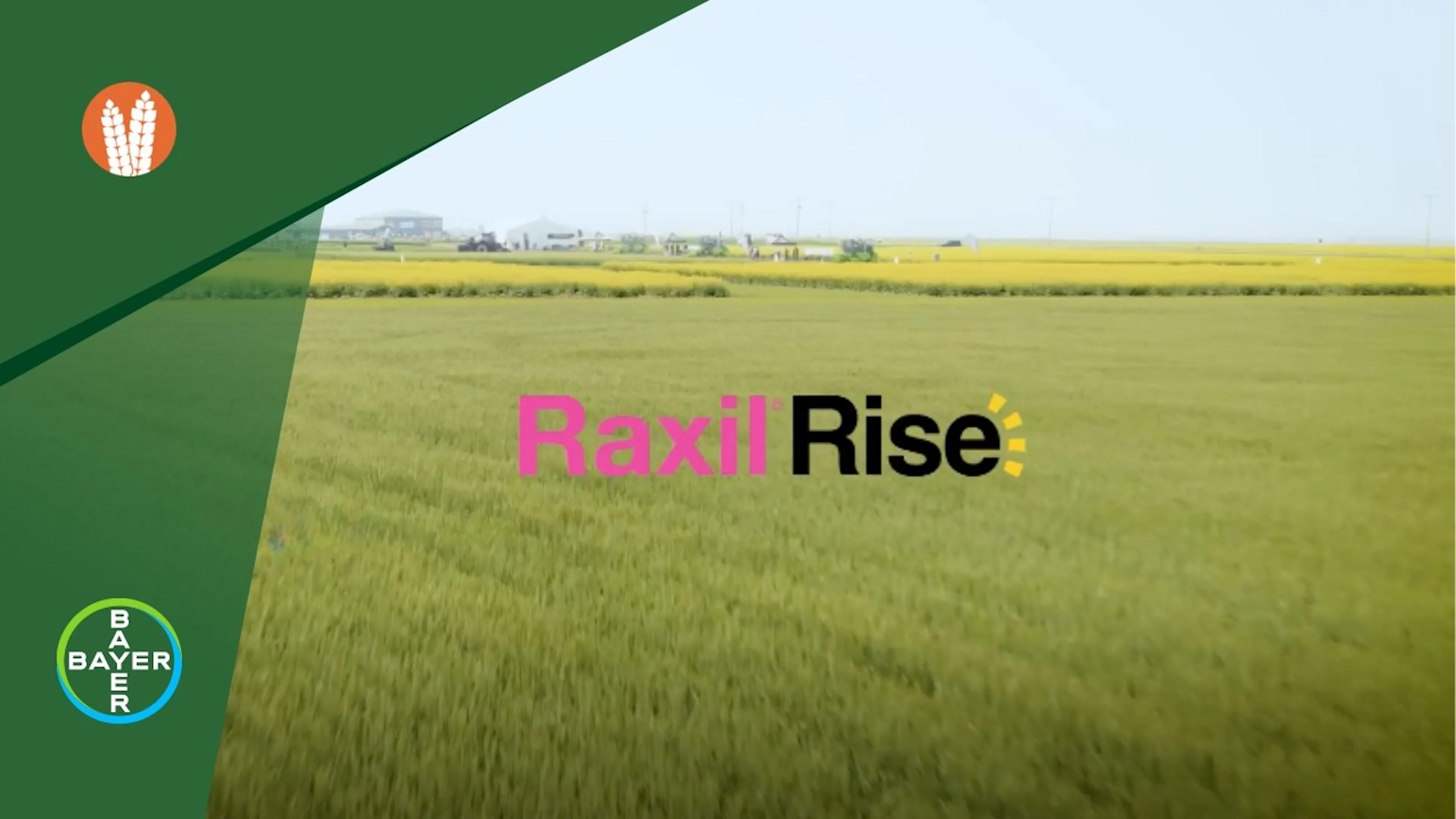 Raxil Rise video overlay