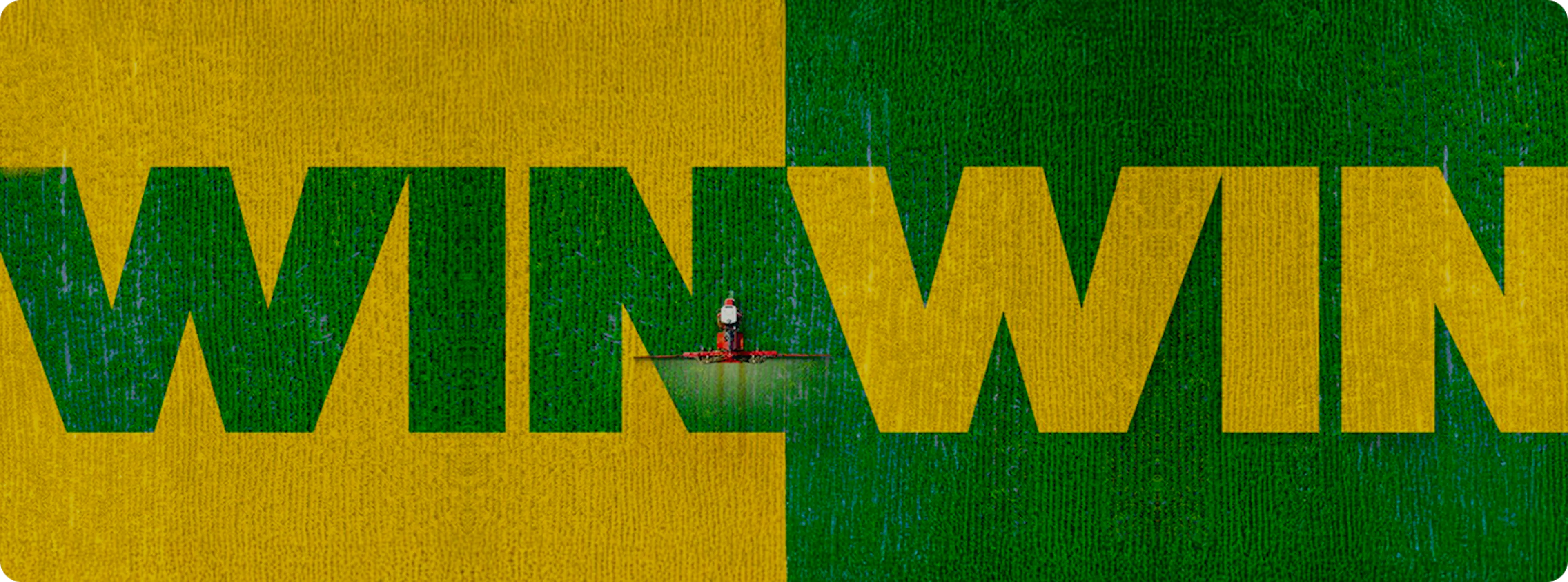 Overhead image of a canola field split into half yellow and half green crops, with bold ‘WIN WIN’ lettering and a field sprayer centered between the two sections.