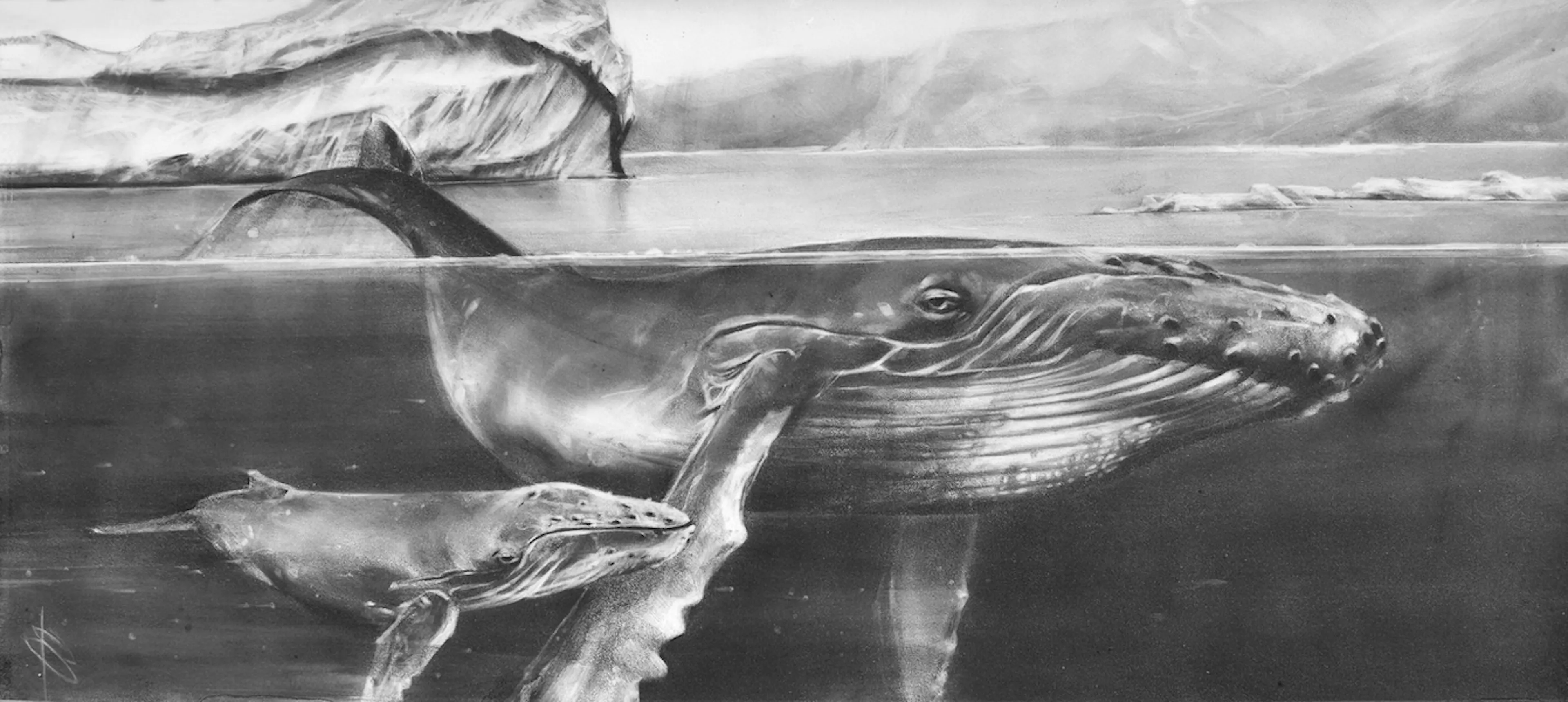 A Whale's Tale