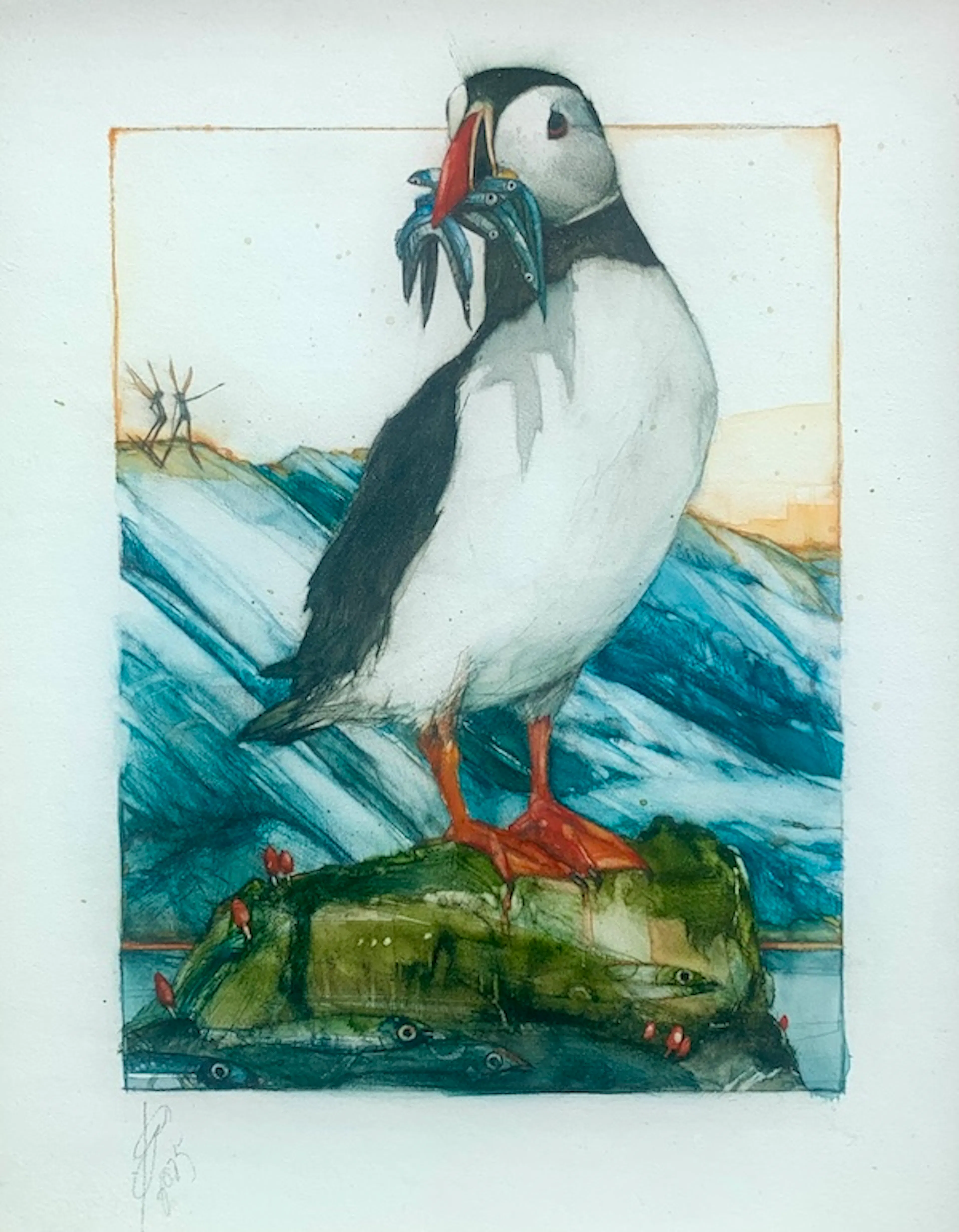 Puffin Perch