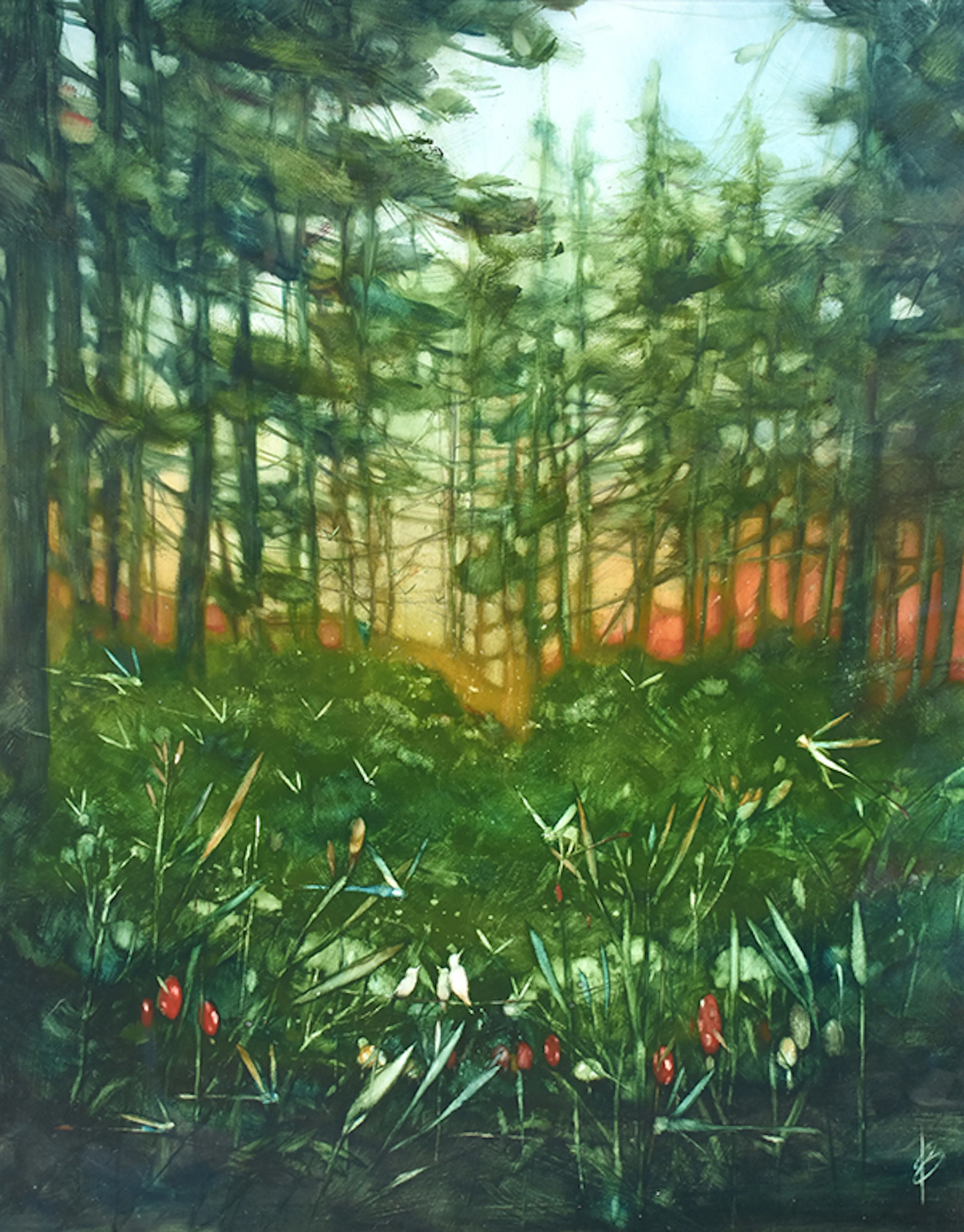 Forest Fairy Land