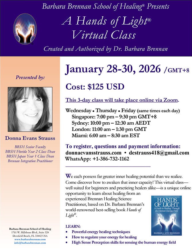 Flyer for Hands of Light Virtual Class, January 28-30, 2026 (Singapore time)