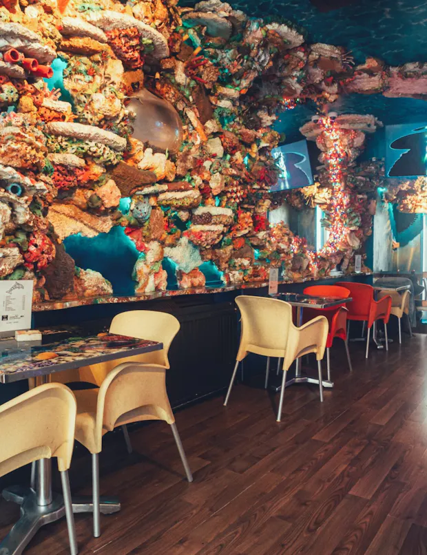 Coffeeshop The Dolphins binnen