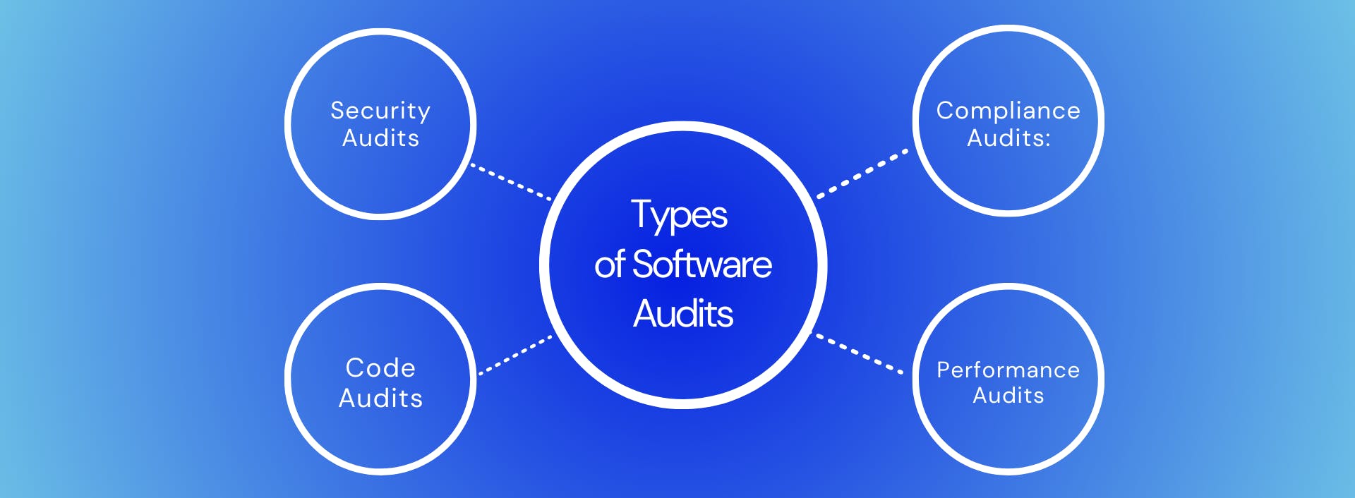 Types of software audits