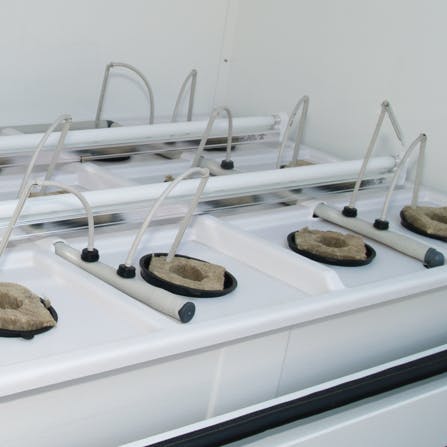 Close-up of the MotherShip™ grow box power cloning design