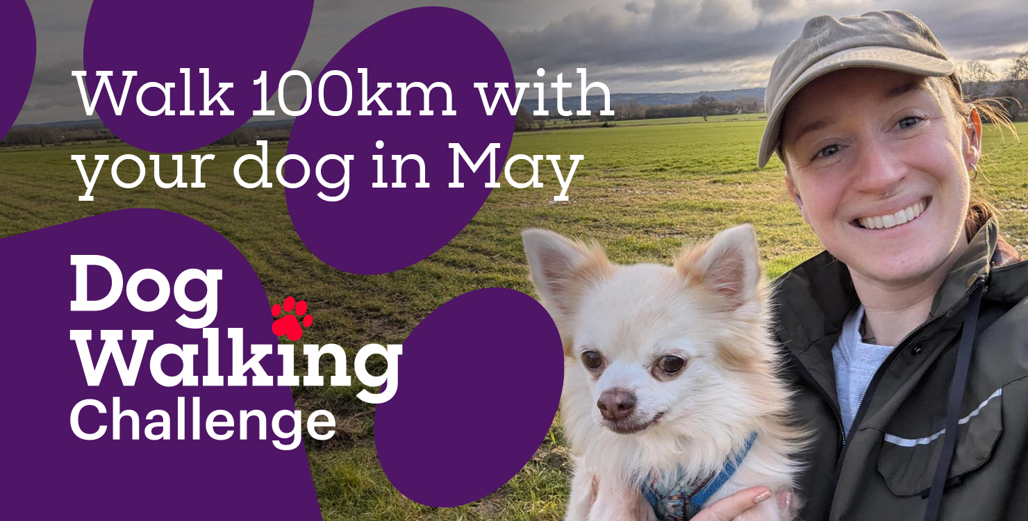 A small fluffy dog is held outdoors in a green field, next to text promoting a “Walk 100km with your dog in May — Dog Walking Challenge.