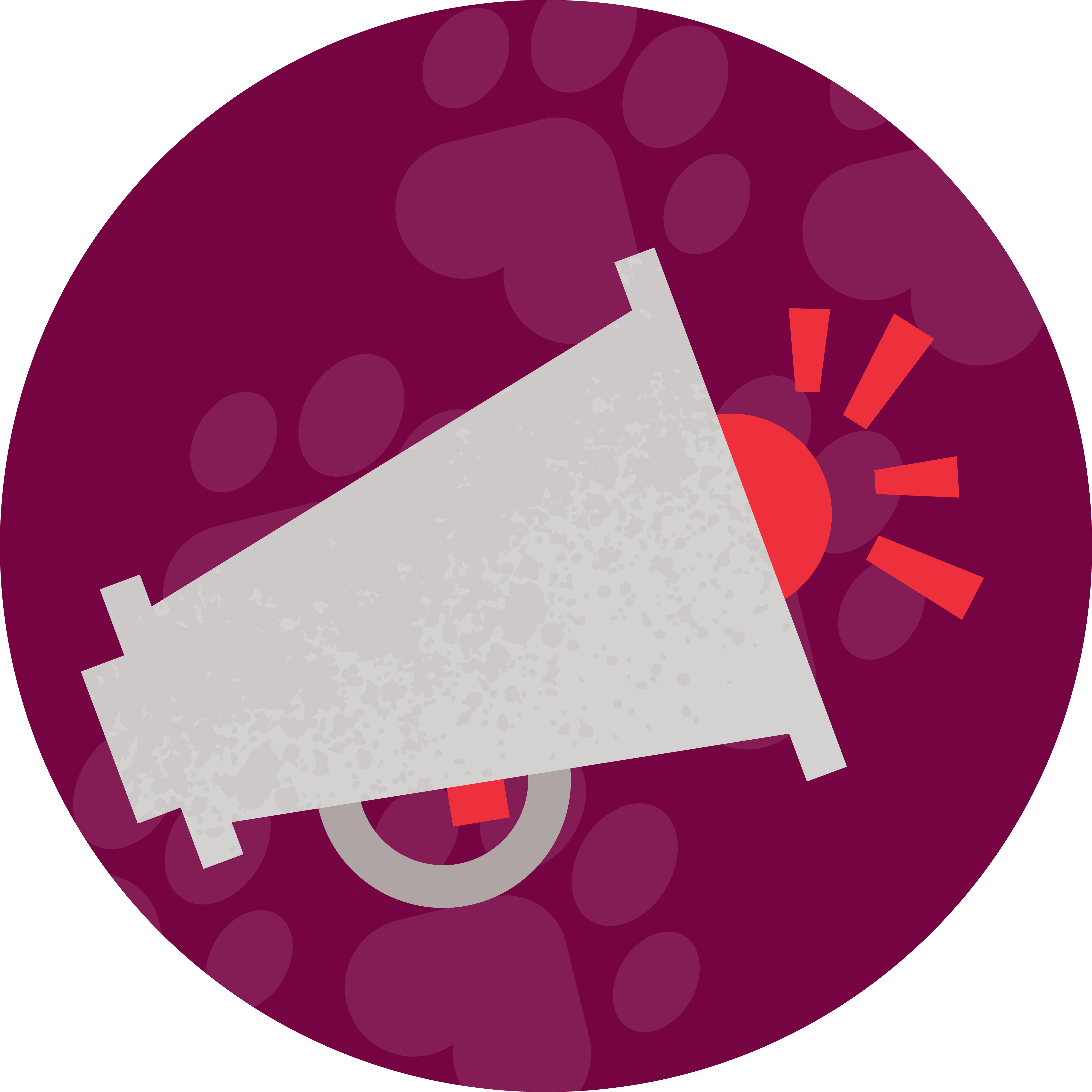 Megaphone icon