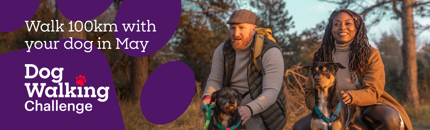 Two people sitting outdoors with their dogs during sunset, alongside text promoting a ‘Walk 100km with your dog in May – Dog Walking Challenge.
