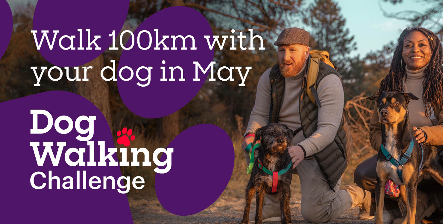 Two people sitting outdoors with their dogs during sunset, alongside text promoting a ‘Walk 100km with your dog in May – Dog Walking Challenge.