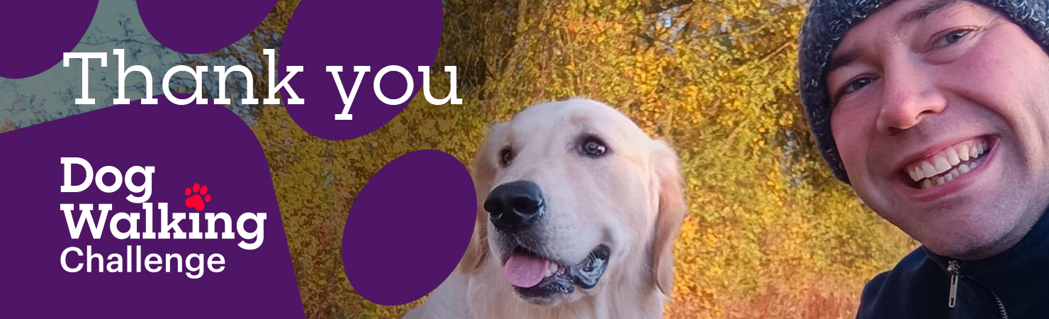 Golden retriever outdoors in front of autumn trees next to text reading ‘Thank you – Dog Walking Challenge.’