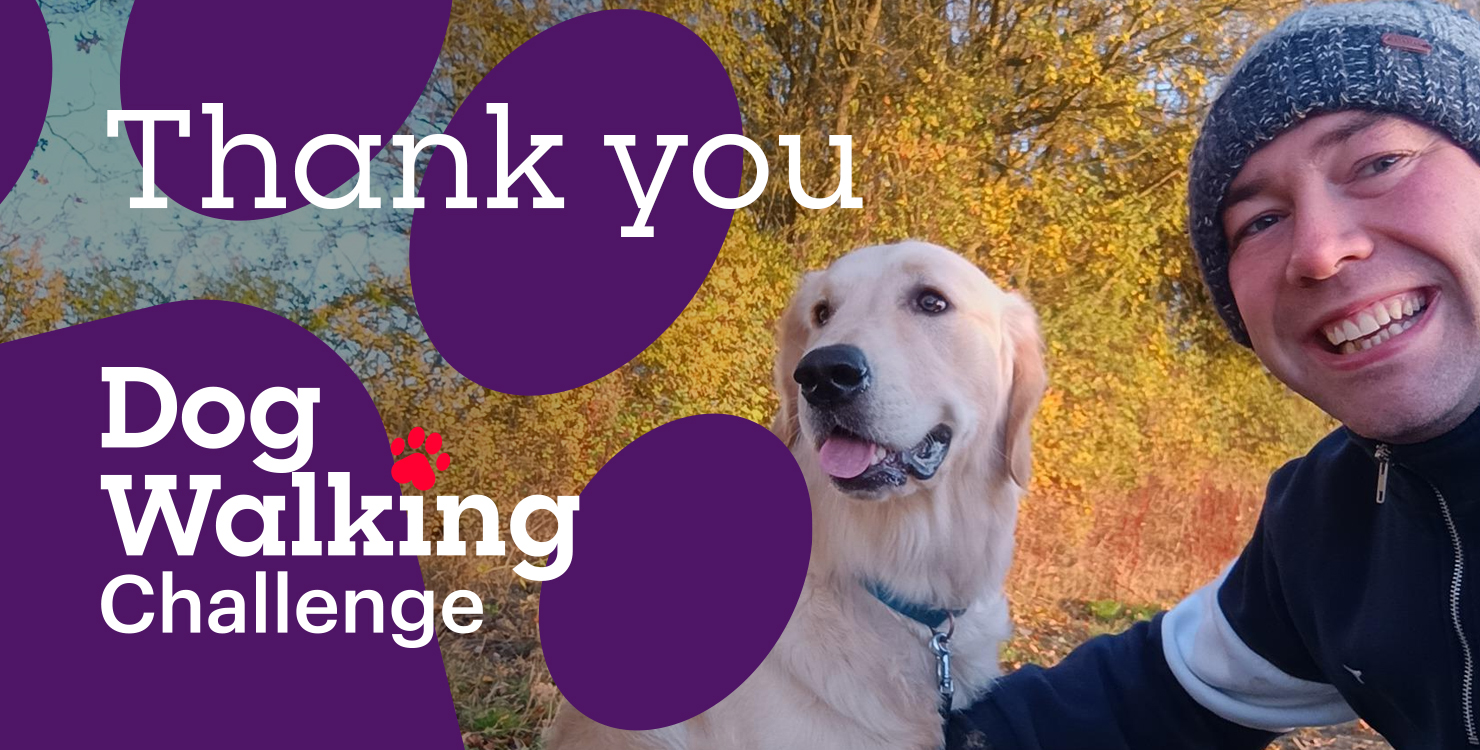 Golden retriever outdoors in front of autumn trees next to text reading ‘Thank you – Dog Walking Challenge.’