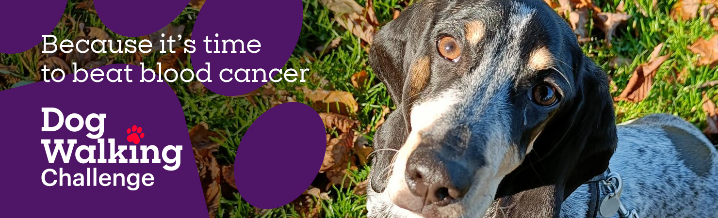 A dog looks up while sitting on grass covered with autumn leaves. Text reads: ‘Because it’s time to beat blood cancer — Dog Walking Challenge.’
