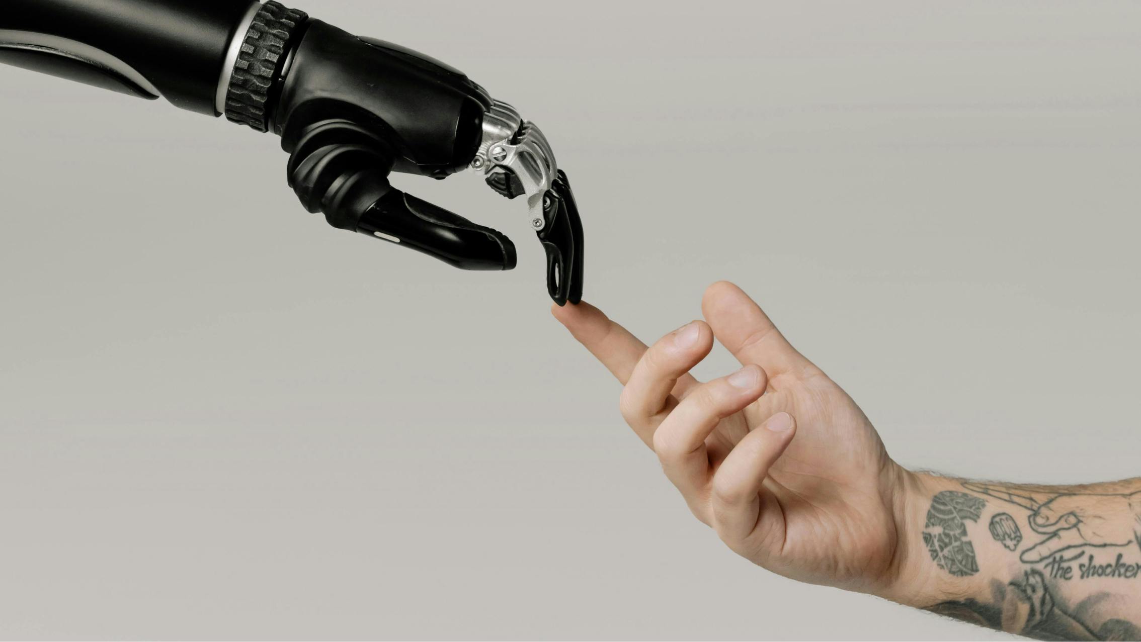 Dita robot e persona