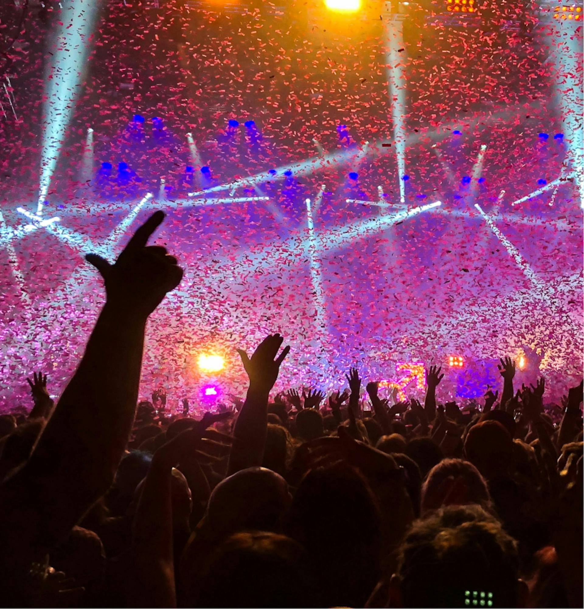 Pubblico al concerto