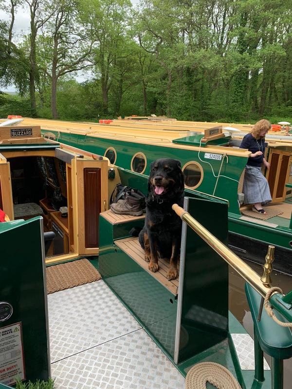dog with owner aboard a beacon park boat