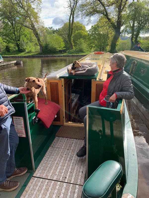dogs with their owners aboard a beacon park boat