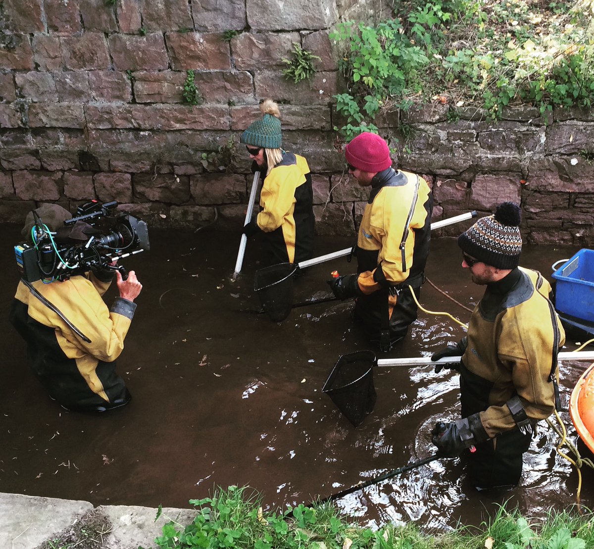 fish rescue on the mon and brec canal