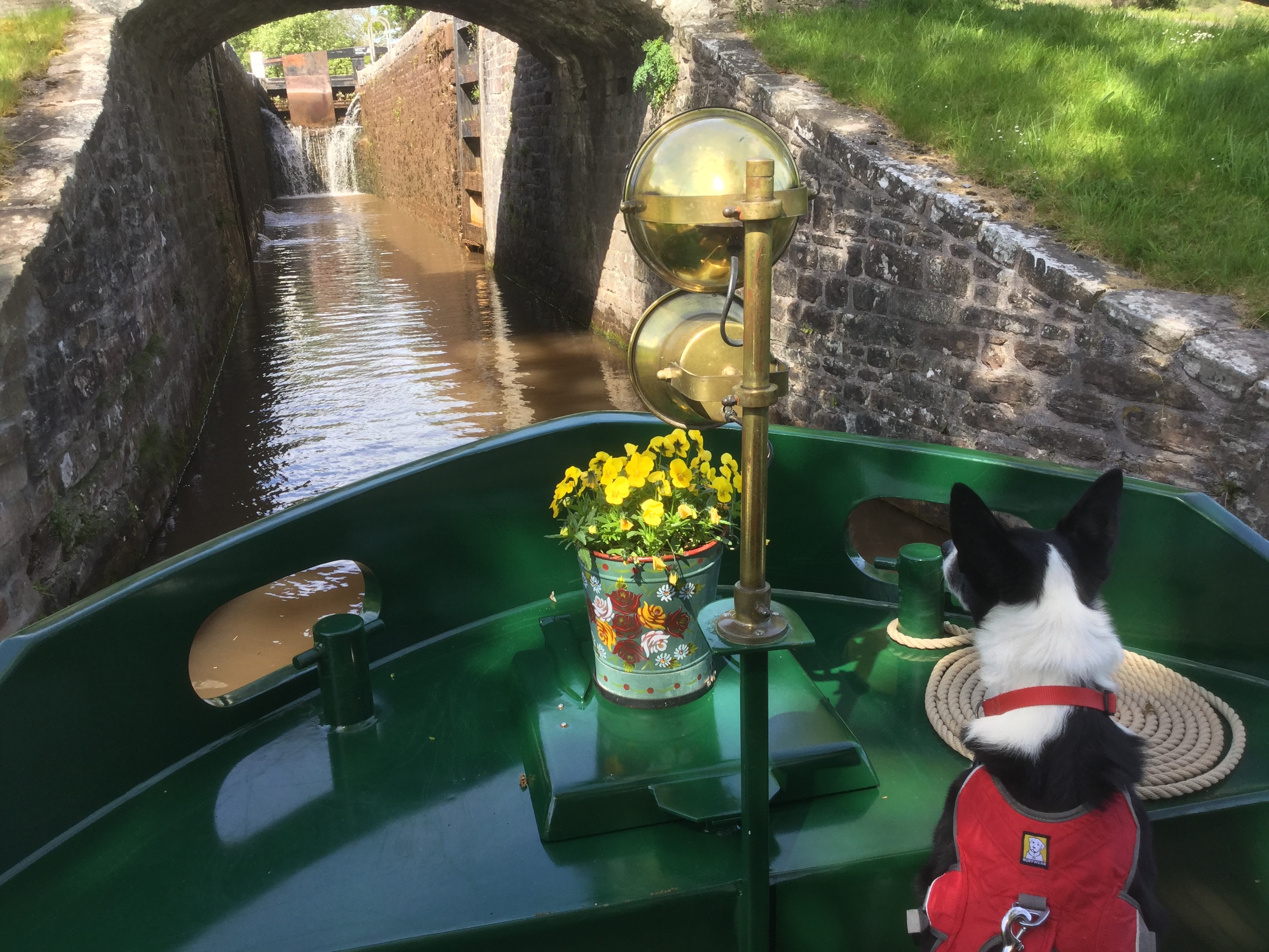 front deck of a beacon park boat with a dog guest