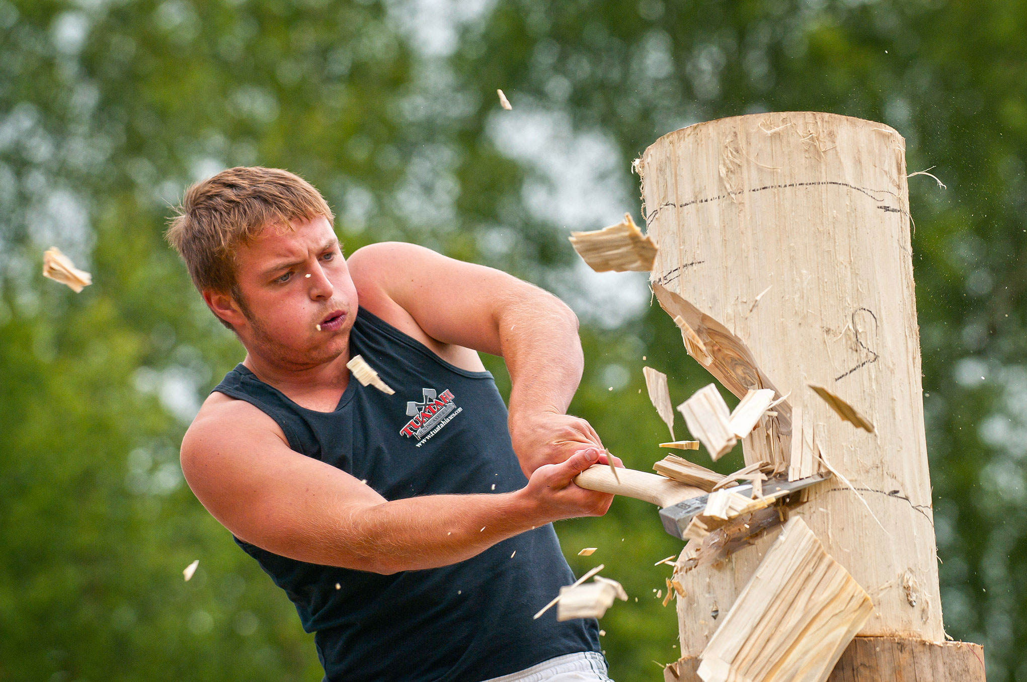 Competition at Royal Welsh Agricultural Show