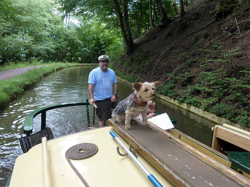 dog aboard a beacon park boat
