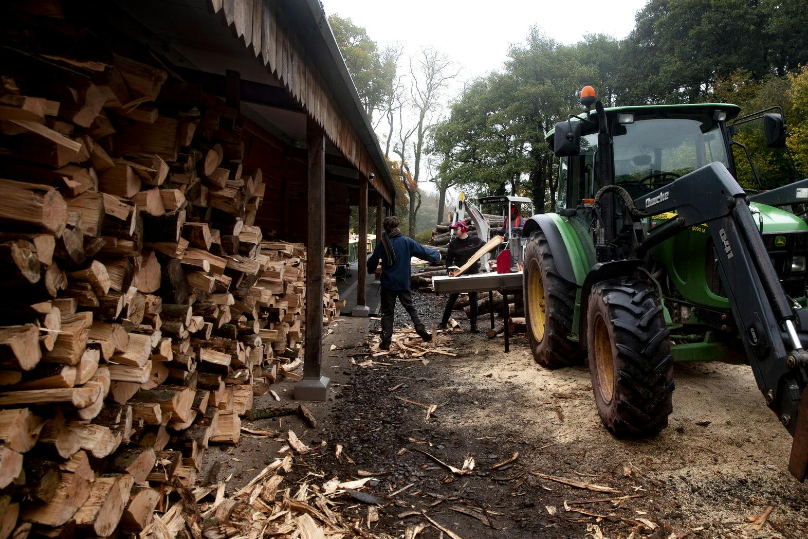 Tractor loading logs 