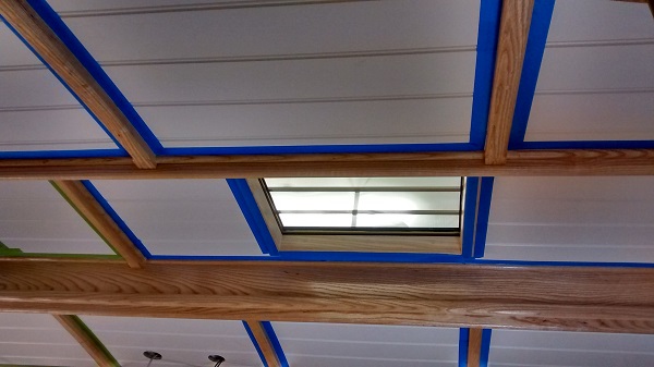 ceiling paintwork in beacon park boat kingfisher
