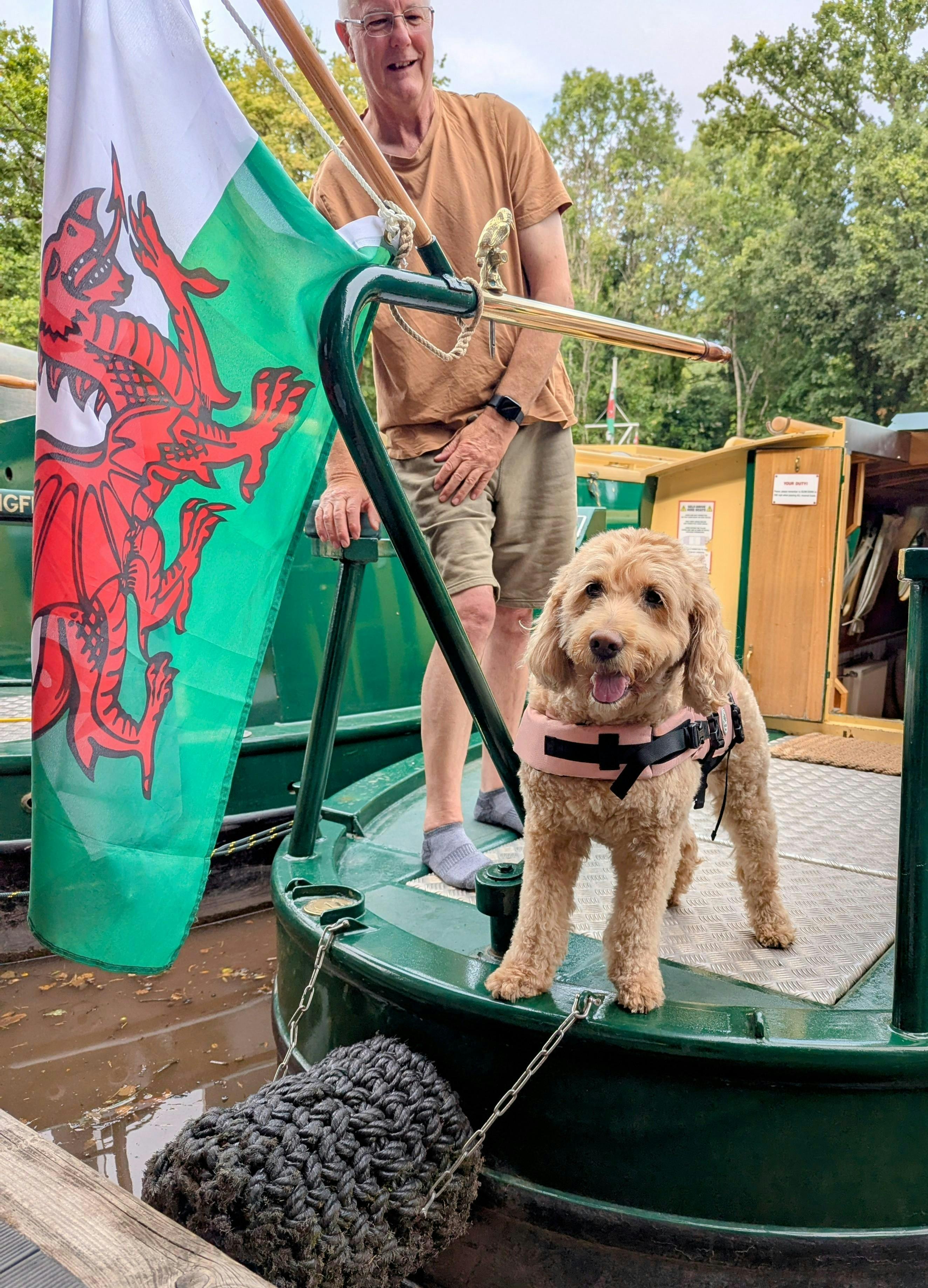 a dog and a guest aboard a beacon park boat