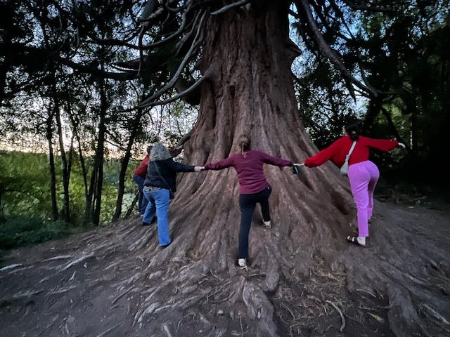 guests enjoying the natural beauty of the brecon beacons