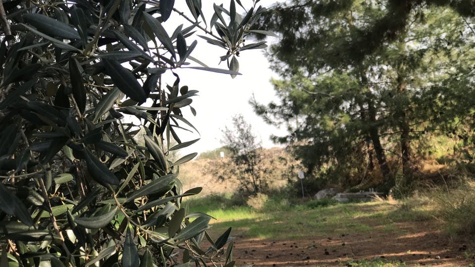 At the Gardens of Life