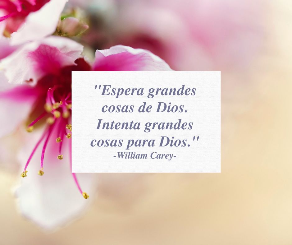 Versículo bíblico sobre fondo de flores rosas