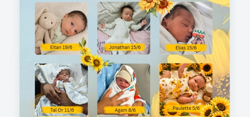 Six of our precious summer newborns