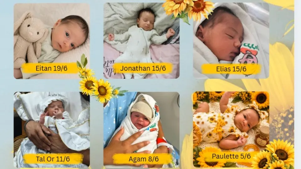 Six of our precious summer newborns