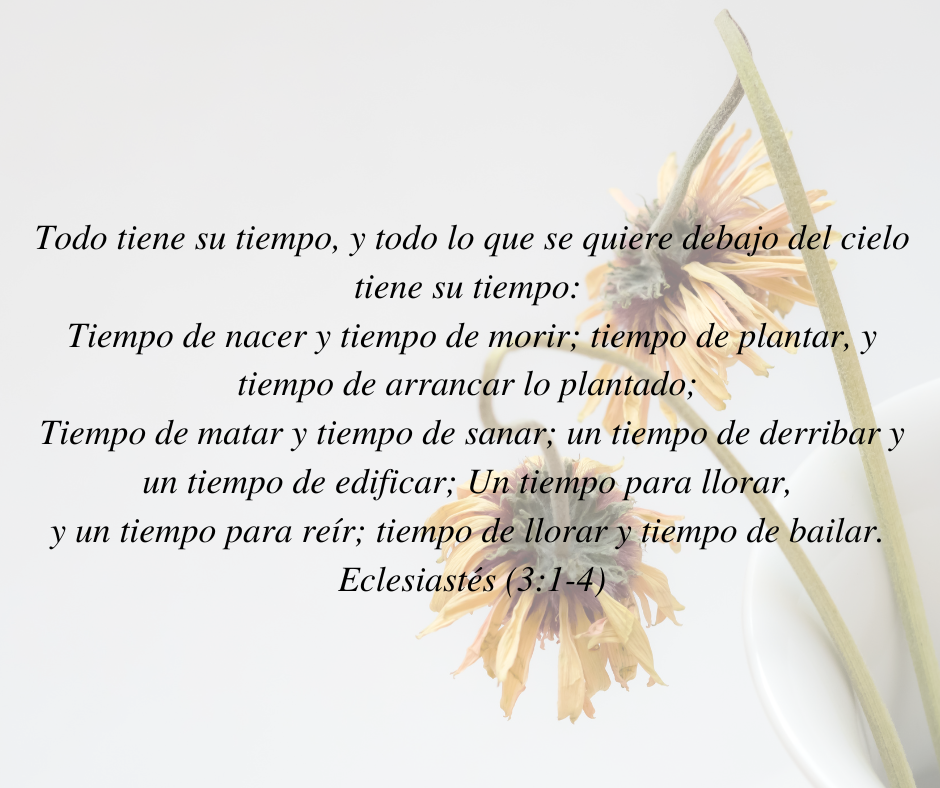 Versículo bíblico sobre fondo blanco con girasoles descoloridos