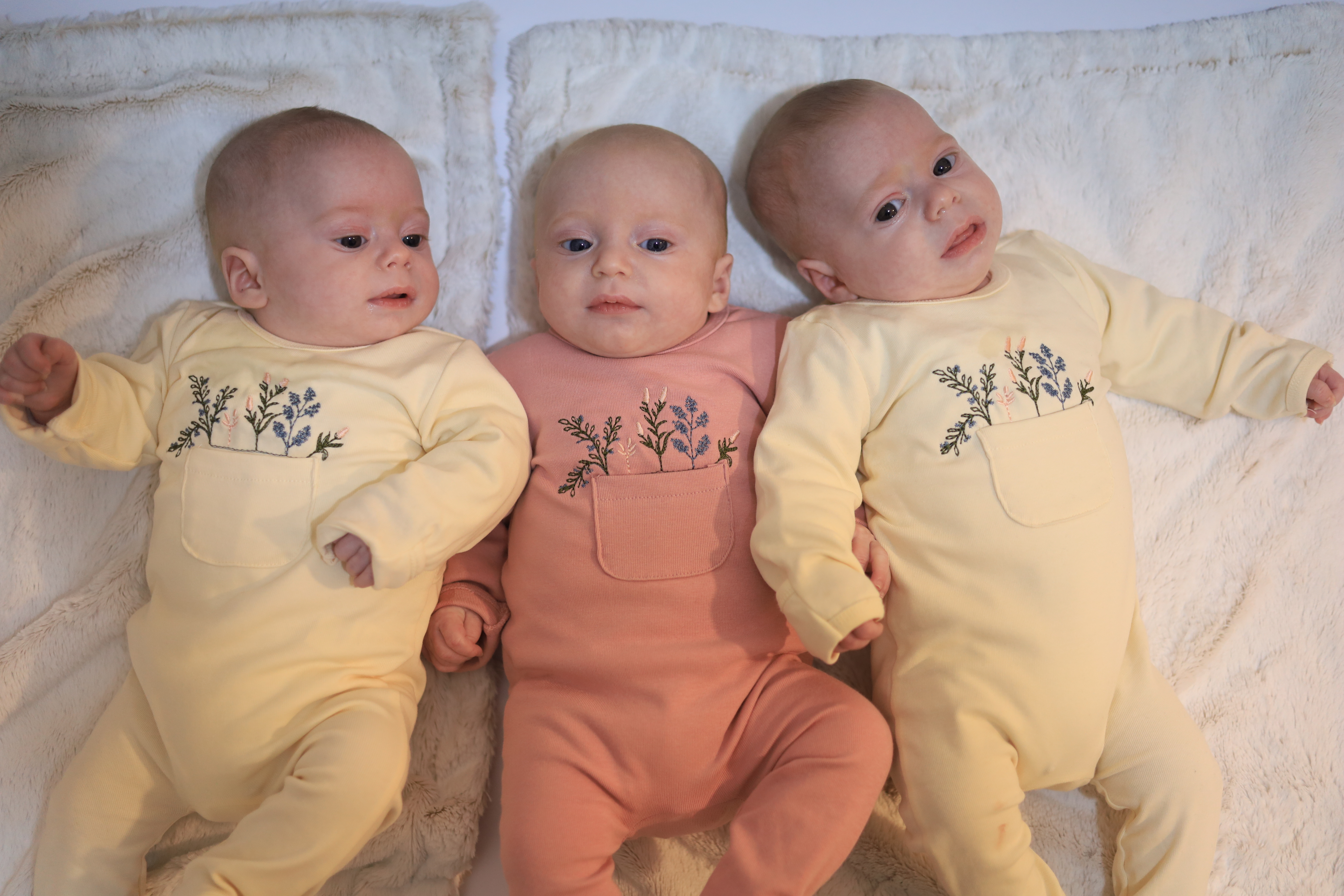 baby triplets in yellow and pink in a row