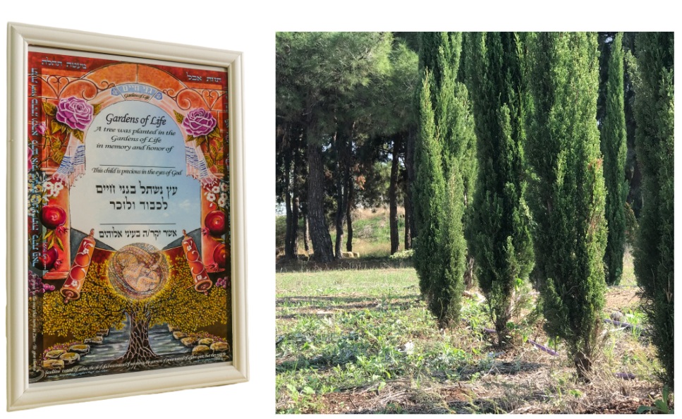 Een foto van het prachtige certificaat naast een foto van een rij cipressen uit Gardens of Life.