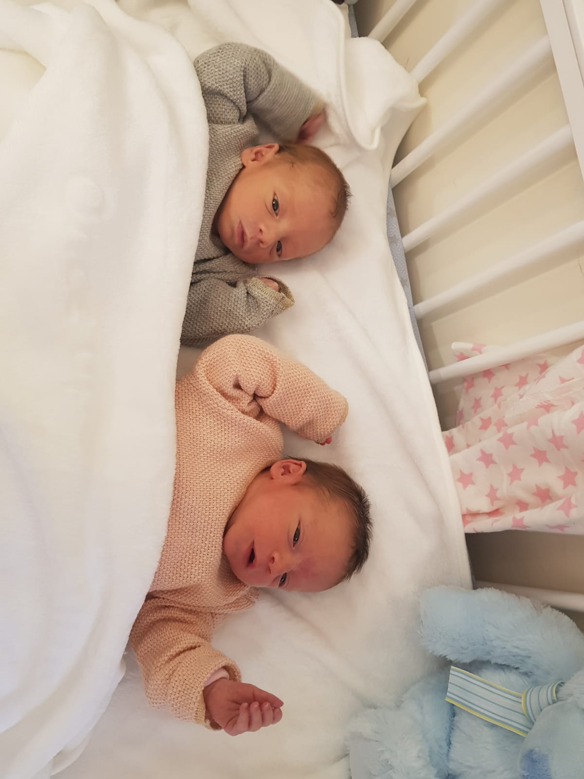 Baby twins Eli and Leah