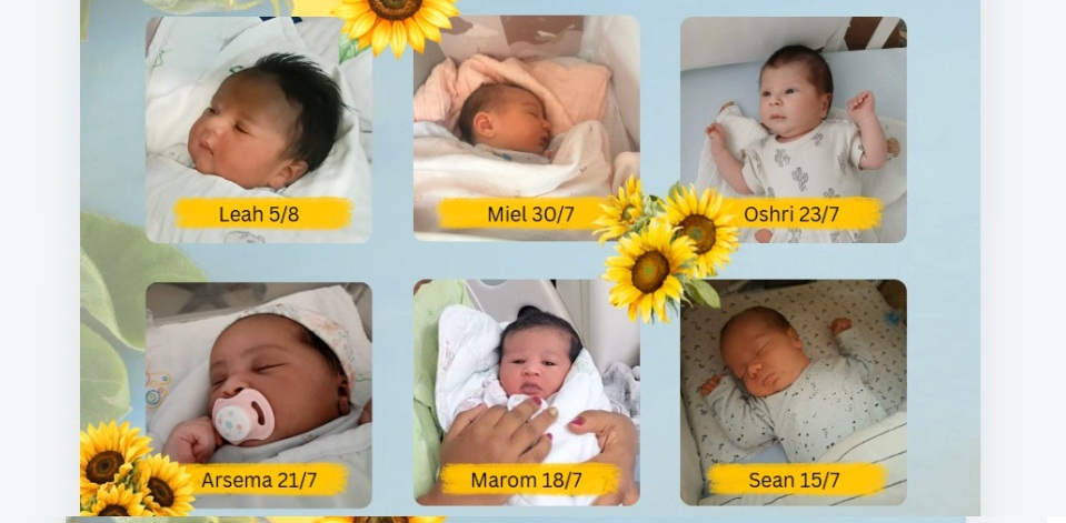 Six of our precious summer newborns