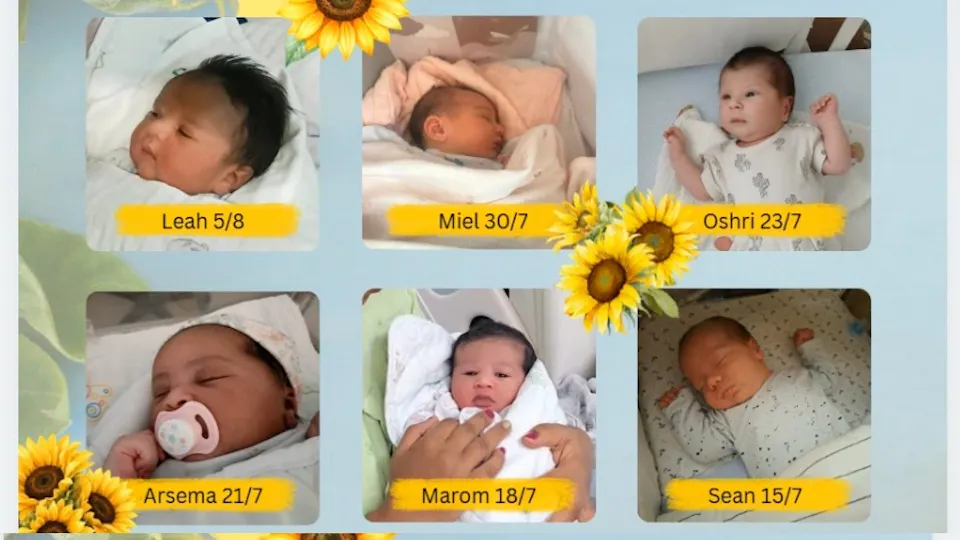 Six of our precious summer newborns
