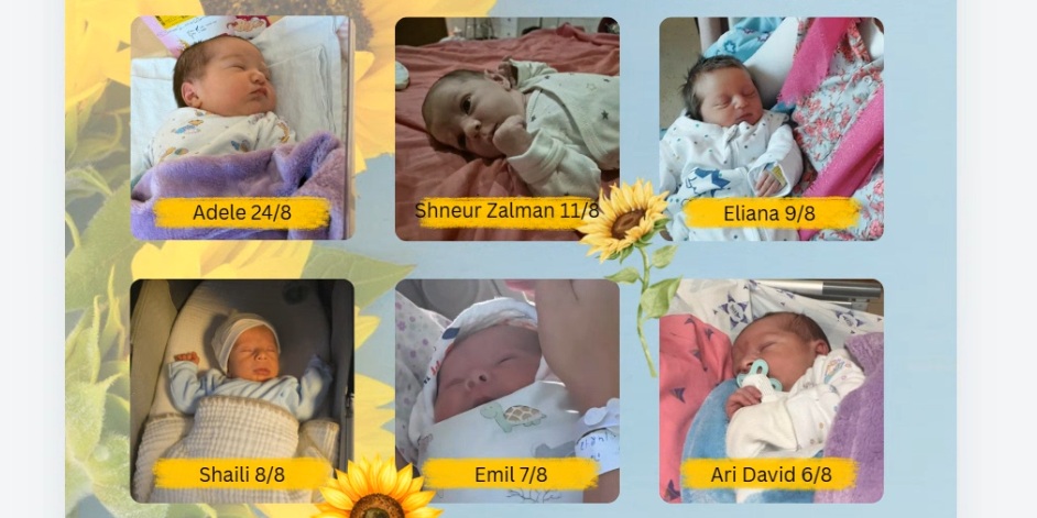 Six of our precious summer newborns