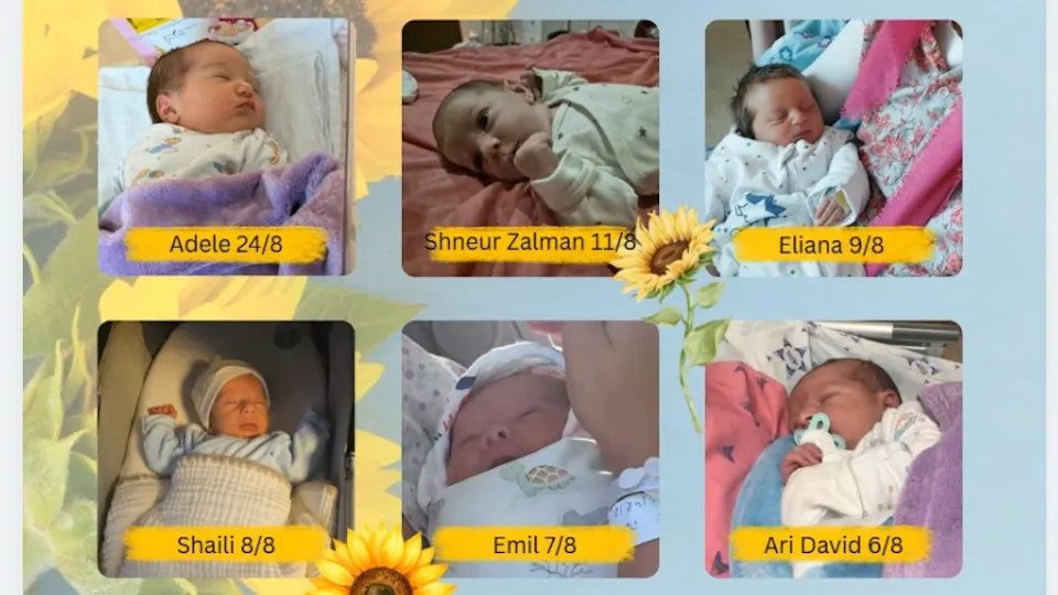 Six of our precious summer newborns