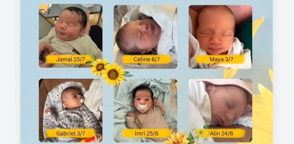 Six of our precious summer newborns