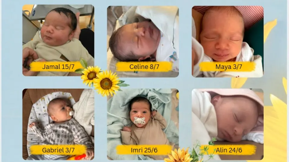 Six of our precious summer newborns