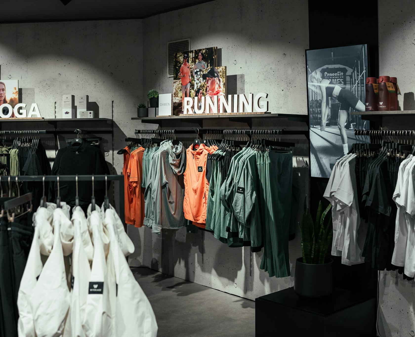 Lazy editor's image description