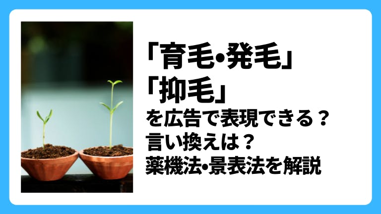 「育毛」「発毛」「抑毛」の広告表現はNG?薬機法・景表法を解説