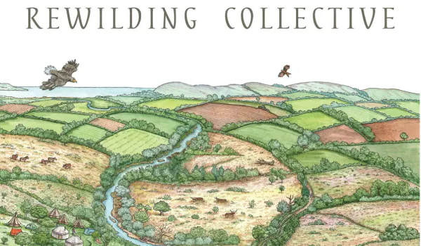 The Rewilding Collective logo