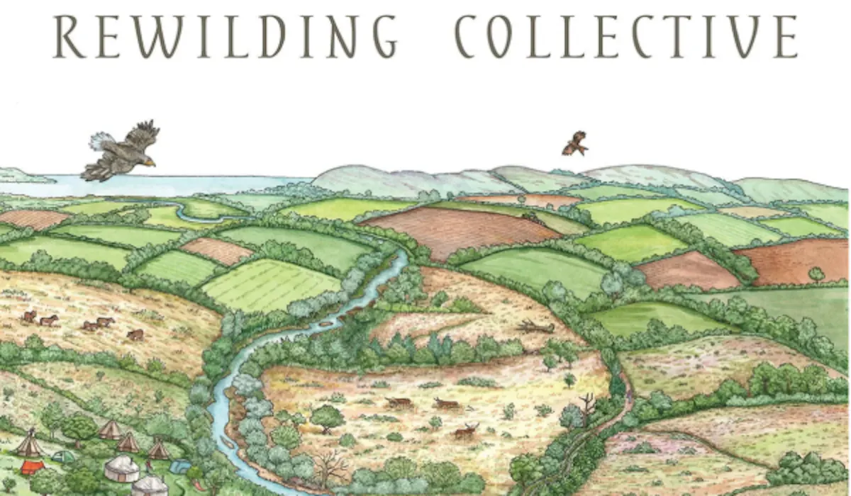 The Rewilding Collective logo