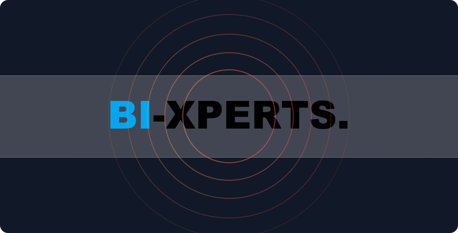 Case study showcasing business intelligence with Bixperts