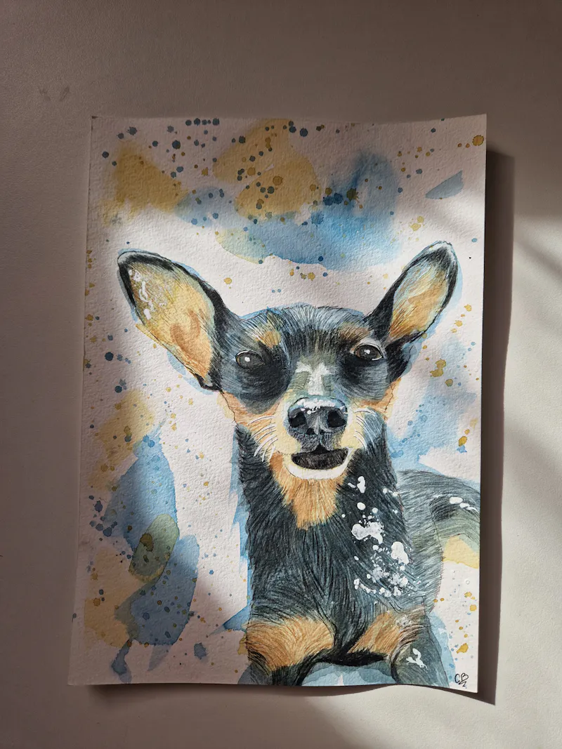 Chihuahua aquarelle