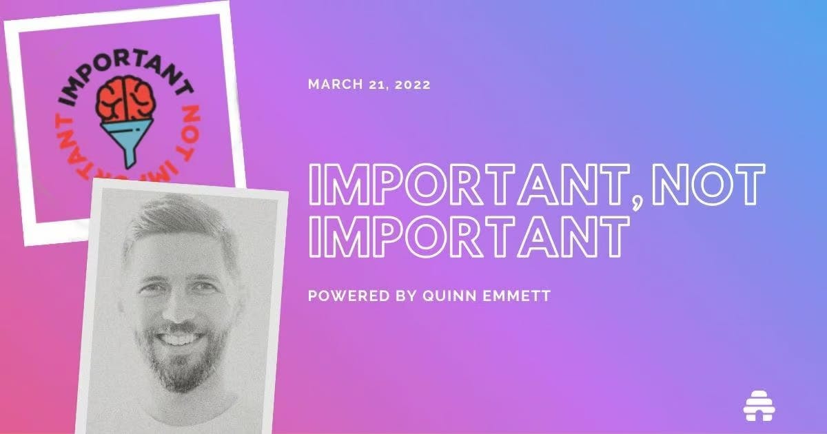 Case Study: Important, Not Important by Quinn Emmett